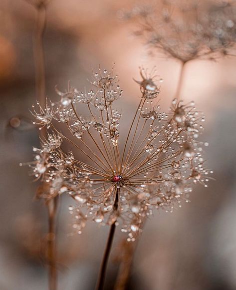 Kép forrása: Pinterest